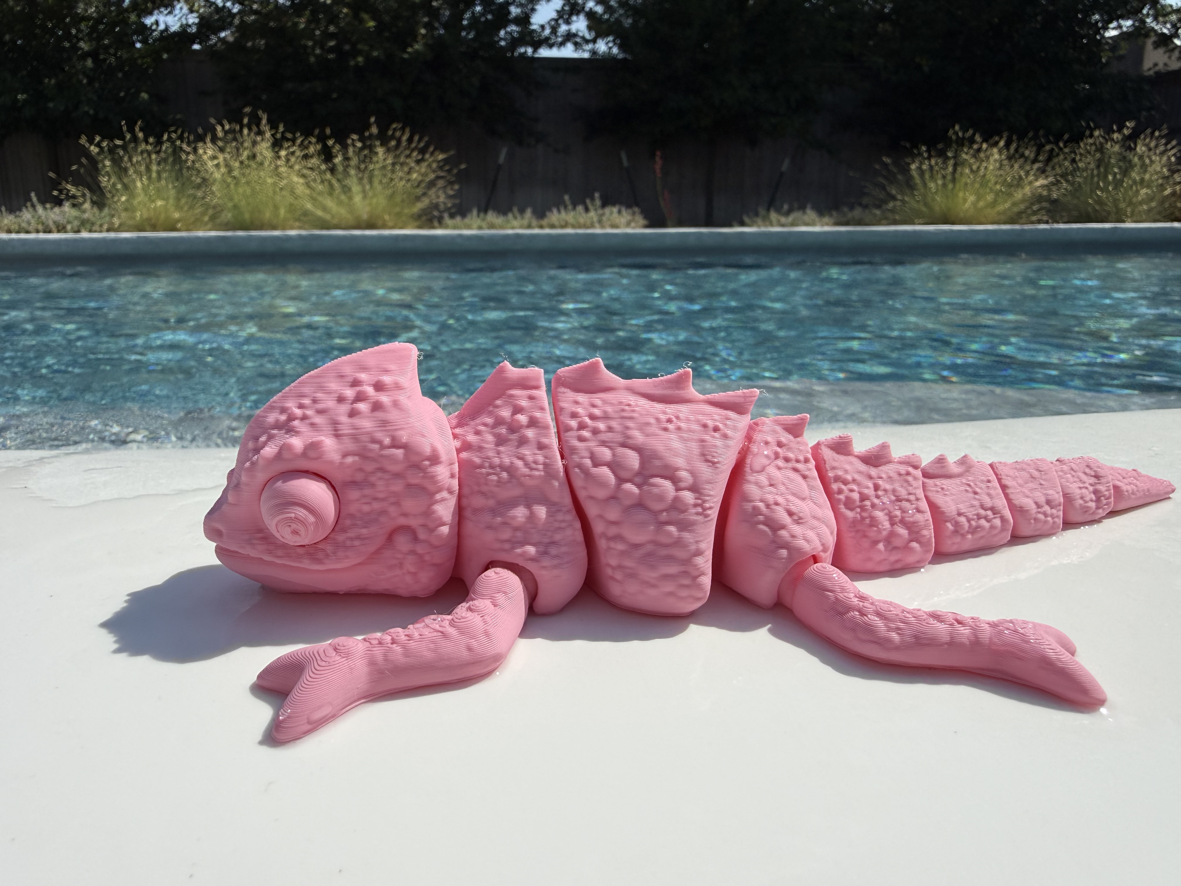 Pink Chameleon