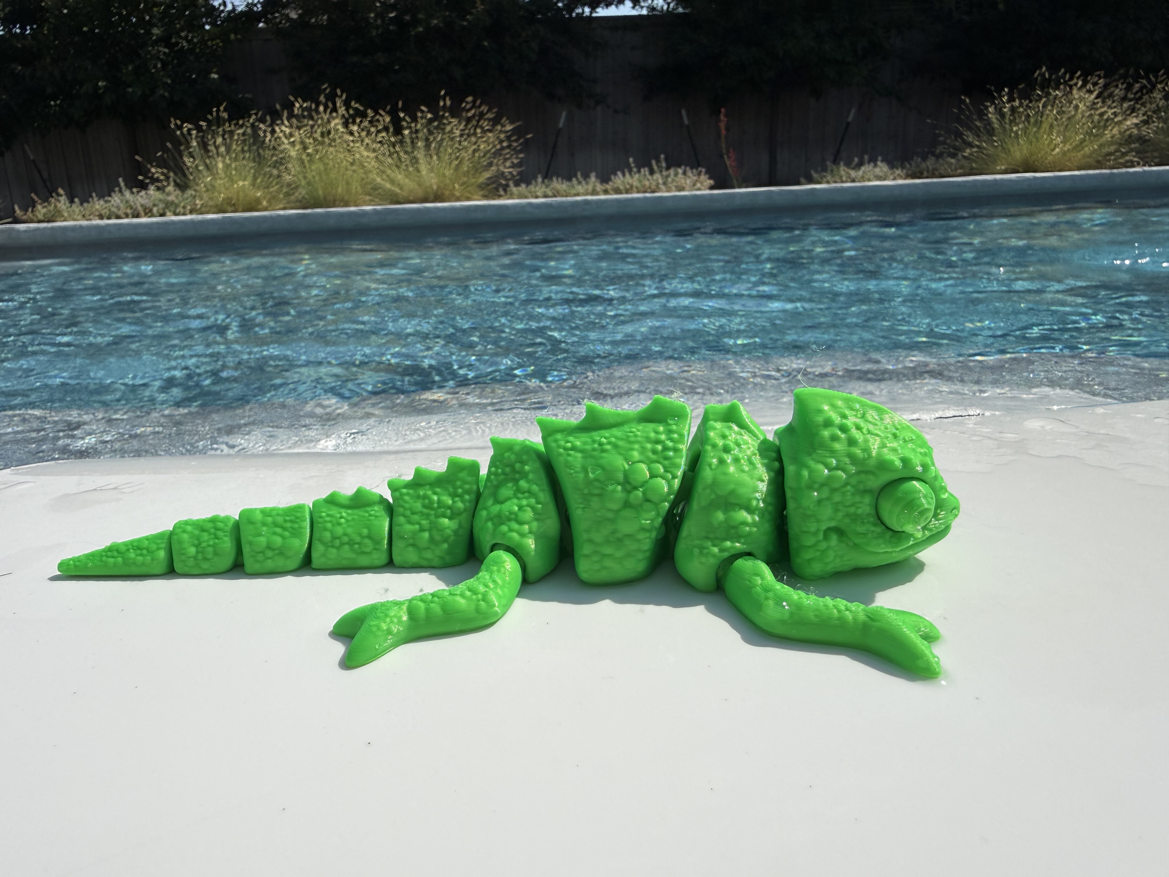Green Chameleon
